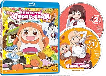 91A+kRNSCSL._AC_UF350,